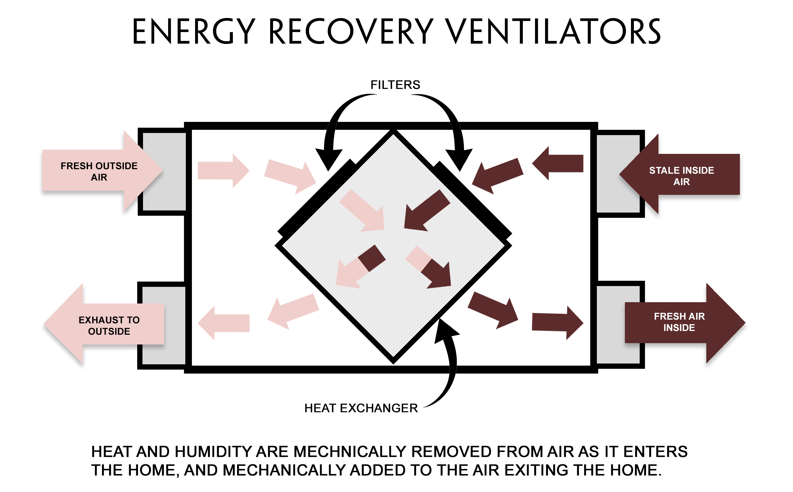 ERV Diagram